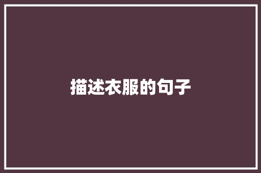 描述衣服的句子