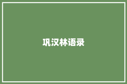 巩汉林语录