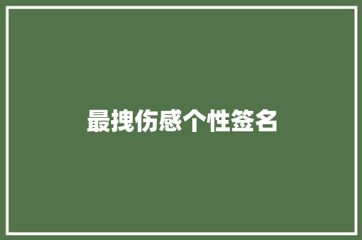 最拽伤感个性签名
