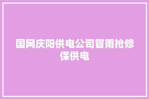 国网庆阳供电公司冒雨抢修保供电