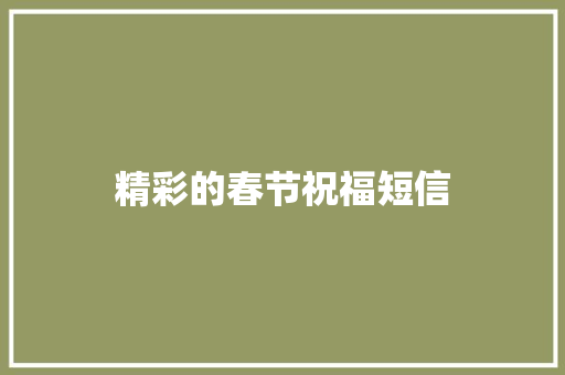 精彩的春节祝福短信