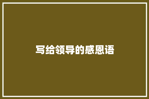 写给领导的感恩语