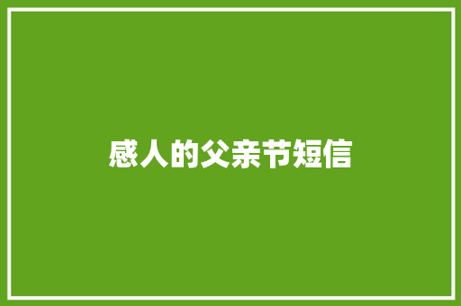 感人的父亲节短信