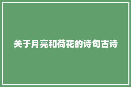 关于月亮和荷花的诗句古诗