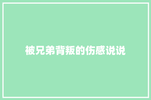 被兄弟背叛的伤感说说