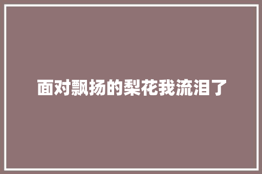 面对飘扬的梨花我流泪了