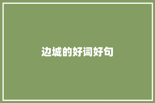 边城的好词好句