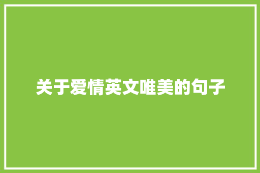 关于爱情英文唯美的句子