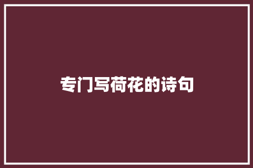 专门写荷花的诗句
