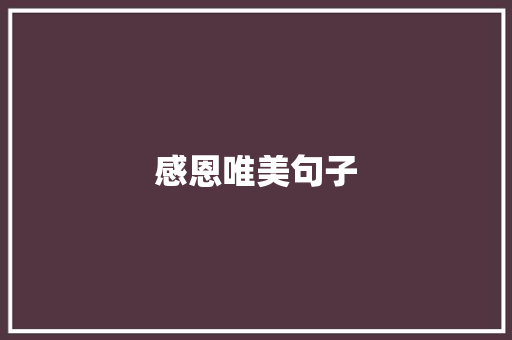 感恩唯美句子