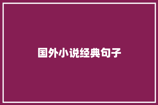 国外小说经典句子