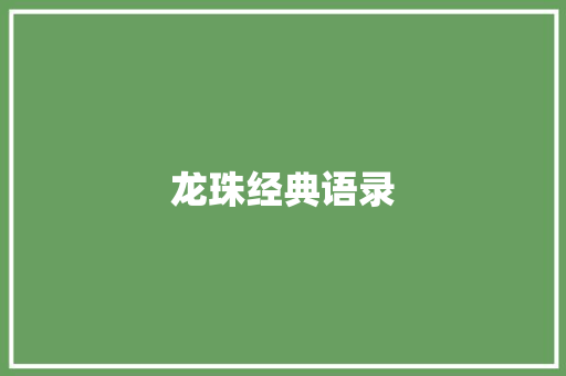 龙珠经典语录