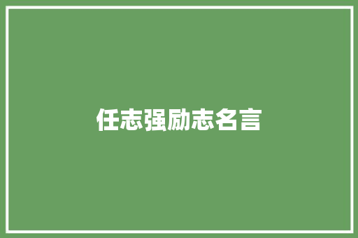 任志强励志名言