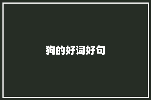 狗的好词好句