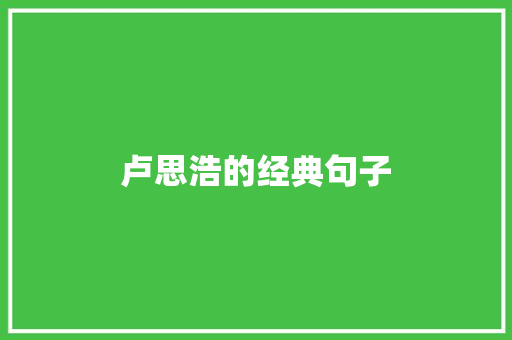 卢思浩的经典句子