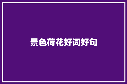 景色荷花好词好句