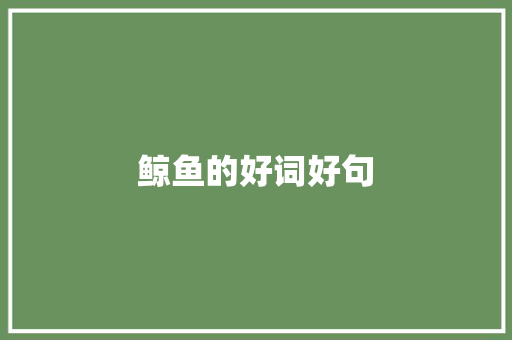 鲸鱼的好词好句