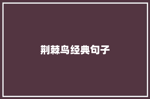 荆棘鸟经典句子