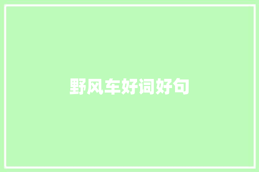 野风车好词好句