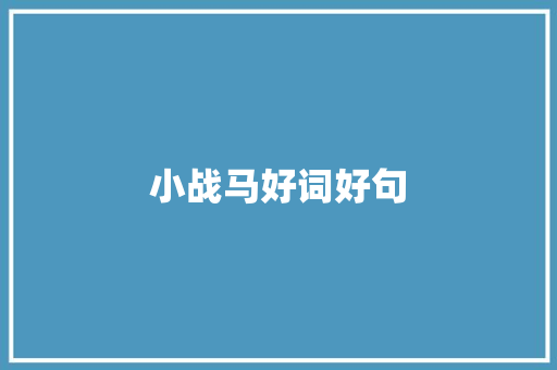 小战马好词好句