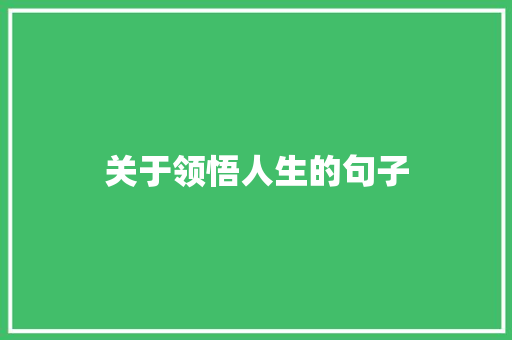 关于领悟人生的句子