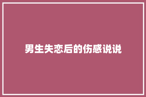 男生失恋后的伤感说说