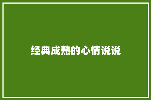经典成熟的心情说说