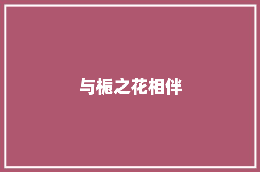 与栀之花相伴