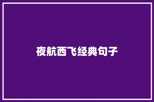 夜航西飞经典句子