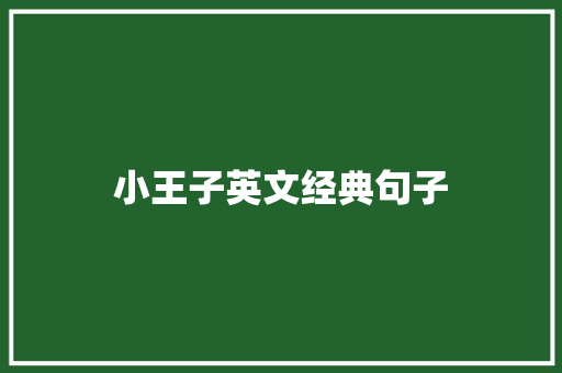 小王子英文经典句子