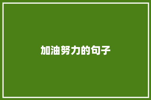 加油努力的句子