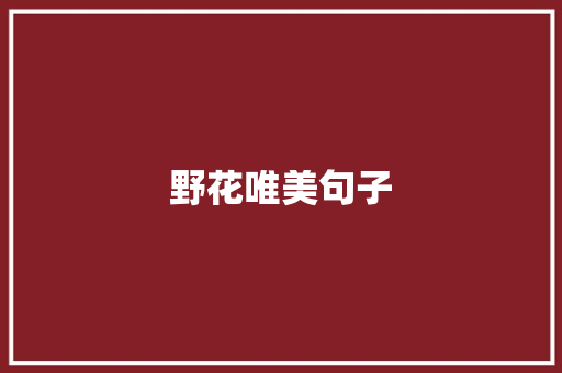 野花唯美句子