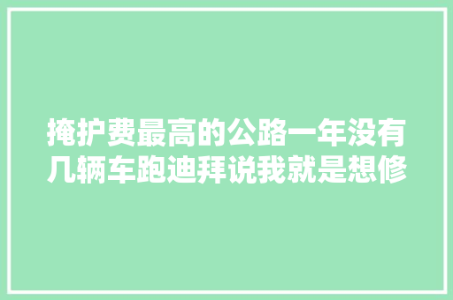 掩护费最高的公路一年没有几辆车跑迪拜说我就是想修
