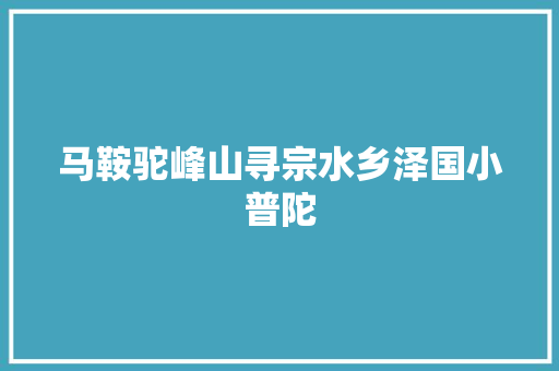 马鞍驼峰山寻宗水乡泽国小普陀