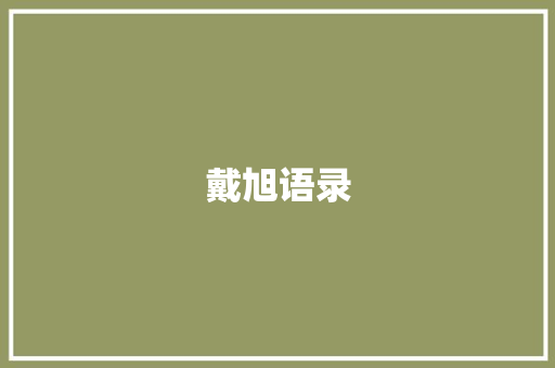 戴旭语录