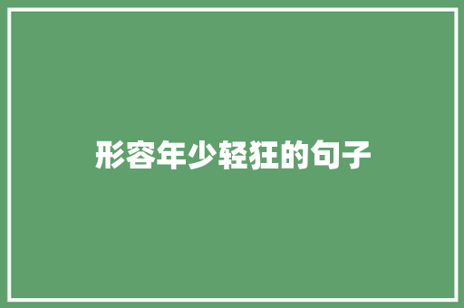 形容年少轻狂的句子