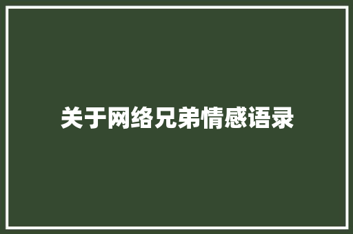 关于网络兄弟情感语录