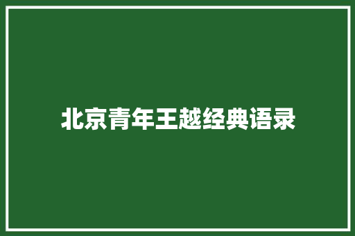 北京青年王越经典语录