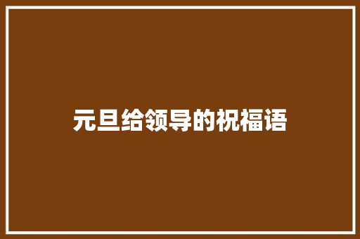 元旦给领导的祝福语