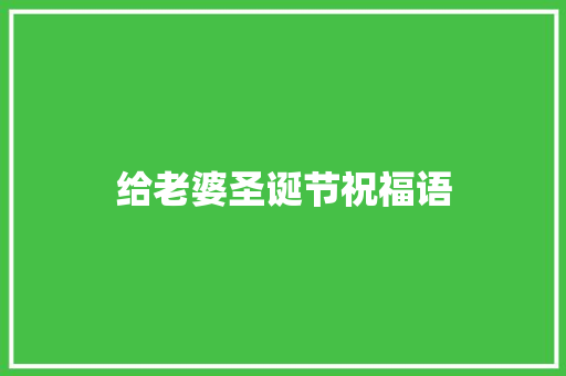 给老婆圣诞节祝福语