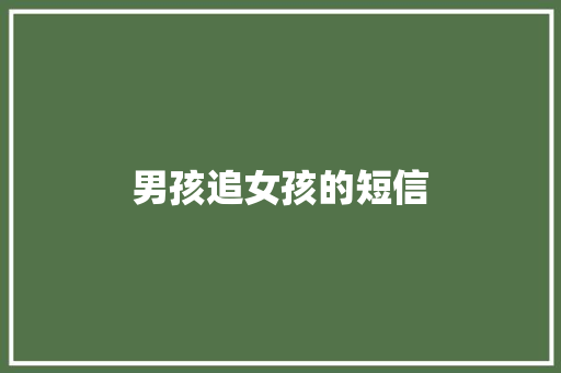 男孩追女孩的短信