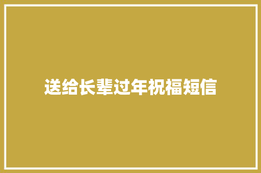 送给长辈过年祝福短信