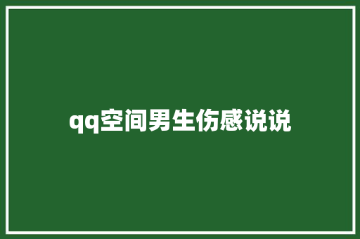 qq空间男生伤感说说