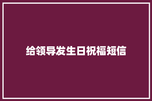 给领导发生日祝福短信