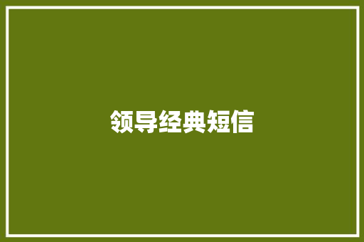 领导经典短信