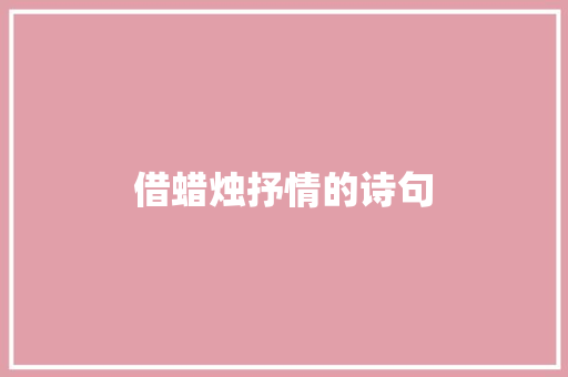借蜡烛抒情的诗句