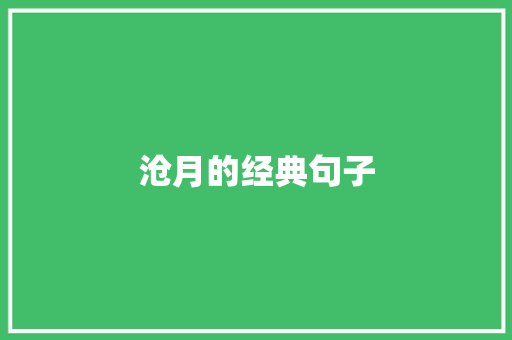 沧月的经典句子