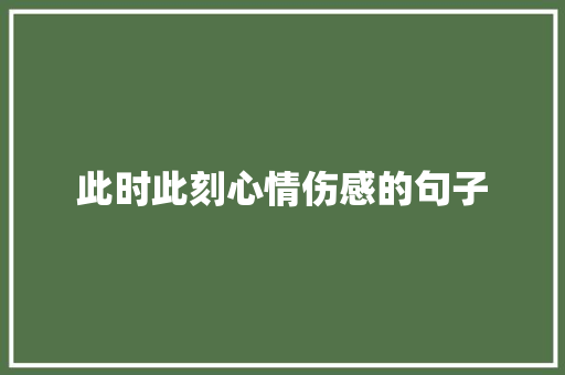 此时此刻心情伤感的句子