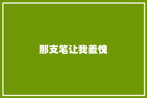 那支笔让我羞愧