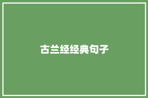 古兰经经典句子